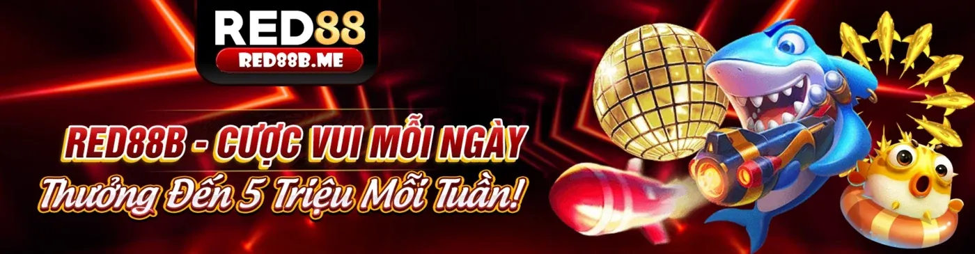 Hướng dẫn toàn diện cho người mới chơi casino trực tuyến